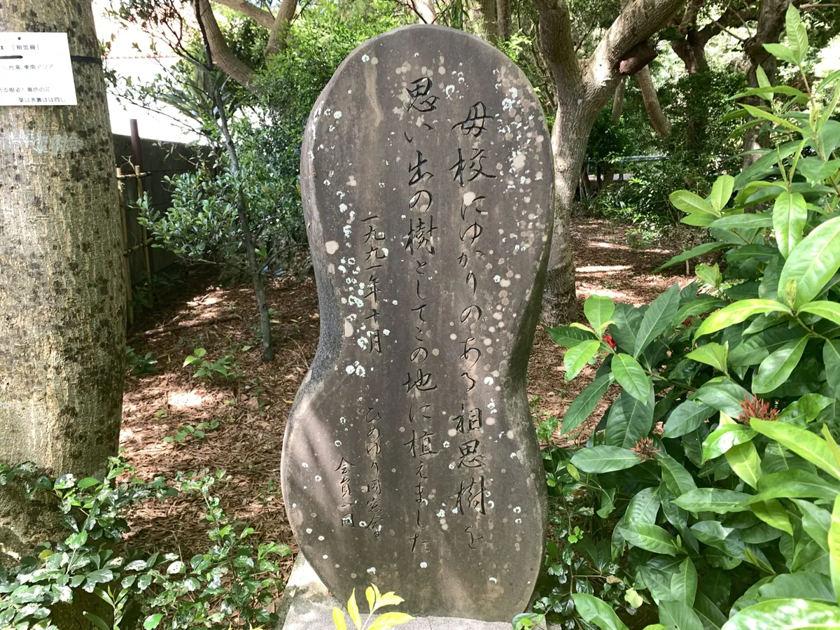 ひめゆりの塔の写真（6）