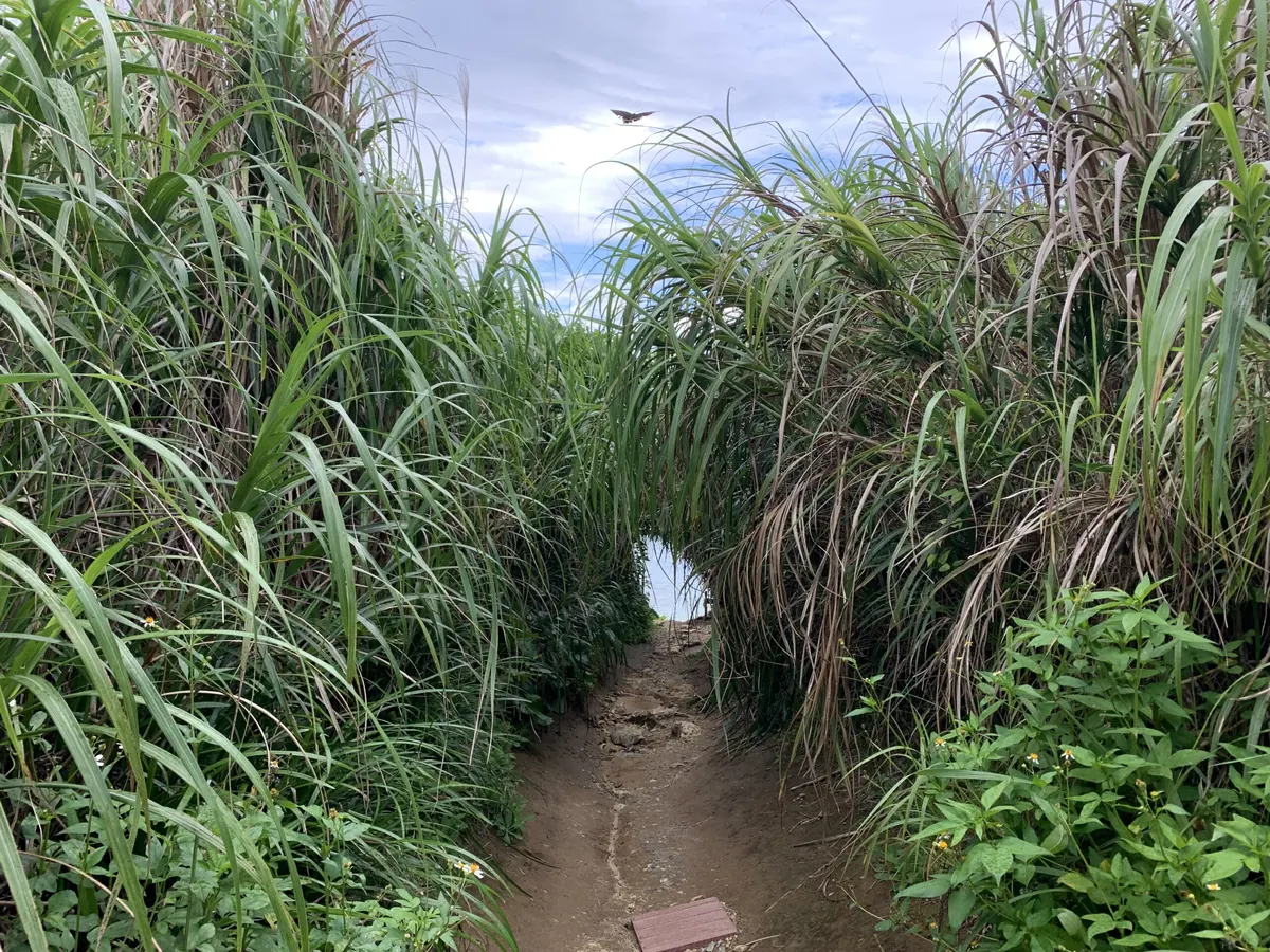 古宇利島のハートロックの写真(4)
