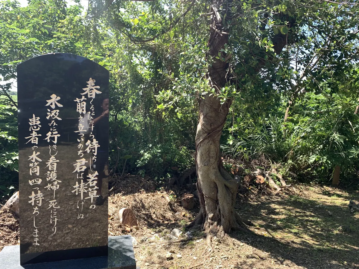喜屋武岬の写真(5)